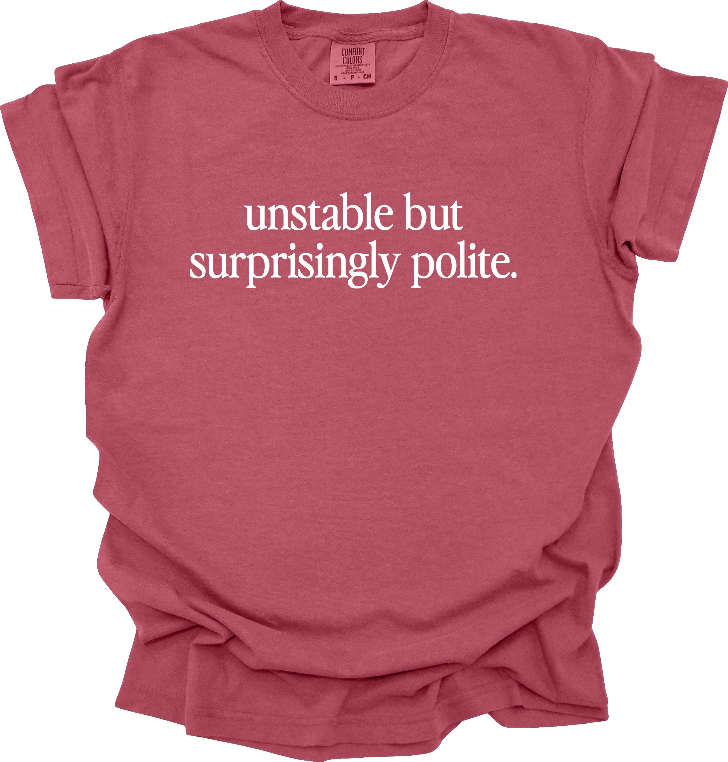 Unstable But Surprisingly Polite T-Shirt