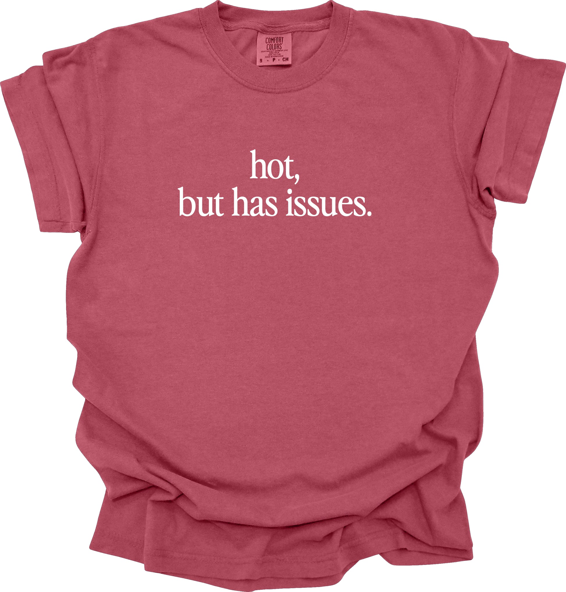 Hot But Has Issues T-Shirt